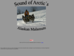 Sound of Arctic´s Alaskan Malamutes