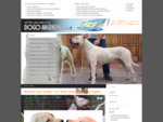 Allevamento Dogo Argentino - Foto, Filmati, Articoli sulla razza Dogo Argentino