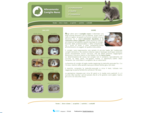 Allevamento Coniglio Nano - allevamento e vendita conigli nani