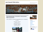 Jack Russell Villa Antica | Quando la passione per la razza si sposa con la scienza, nascono i Jac