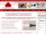 Carpet cleaning Auckland, Carpet cleaners North Shore Albany