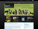 Dog aggression, fearful dogs, off-lead dog training, socialisation, puppy classes - weekly dog o