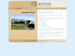 Dierenarts praktijk Animai acupunctuur bij dieren
