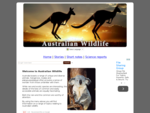Australian Wildlife - interesting information