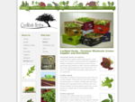 Coolibah Herbs - Coolibah Herbs - Premium Wholesale Supplier and Distributor of Salads and Herbs |