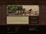 Prestige Arabian Horse Stud, Arabian Horse Breeders Victoria