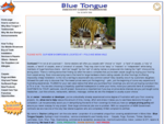 Blue Tongue Carpets