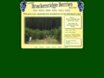 Brackenridge Berries for fresh Australian Blueberries
