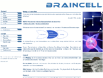 Braincell consult & research GmbH - Graz, Beratung, Förderung, Software, Entwicklung, IT Re
