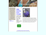 Budgerigar Guide - How to choose and care for own budgie