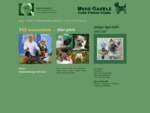 HYDE CASTLE Cairn Terrier