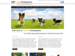 Canine Kindergarten | Dog Daycare | Dog Training Northern Beaches