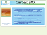 Carpex sXX ------ Carpinteria exclusiva s XX