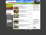 CattleMarket. com. au Cattle for Sale | Semen for Sale