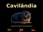 Cavilandia - Criação de Porquinhos da Raça