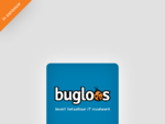 Bugloos - levert betaalbaar IT maatwerk