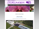 Blumen Duerlinger KG, 4910 Ried, Onlineshop