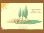Tenuta del Ghisone, Produzione biologica vino e olio, città del vino, vendita vino