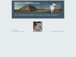 Het kleinste hondenras. korthaar en langhaar chihuahua, Diente de Plata, Hulsberg