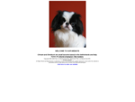 Welcome to our Japanese Chin website