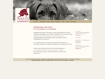 Startseite - Praxis für Tiermedizin & Chiropraktik