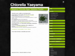 Yaeyama Chlorella Algen Tabletten Poeder