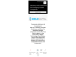 Cielo Capital - Corporate, Investment and Advisory
