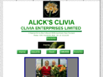 Alick's Clivia exports and local sales miniata gardenii nobilis caulescens robusta interspecific see