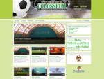 Mali fudbal | Balon za mali fudbal COLOSSEUM