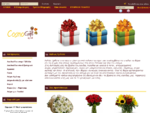 Cosmogift. gr - online αποστολή δώρων. Καλάθια με ποτά, κρασιά, λουλούδια, επιχειρηματικό δώρο