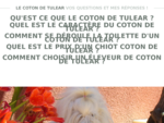 Le Coton de Tulear - QuestionsRéponses