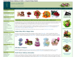 Flowers, Baby gifts, roses and gift baskets - perth florist delivery