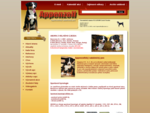 Appenzellský salašnický pes ABORA - Hlavní strana