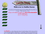 Dahlia Haven - Mail Order Tubers