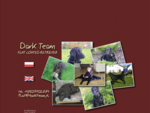 Dark Team - hodowla Flat Coated Retriever