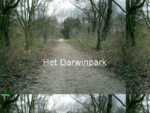 Darwinpark , recreatiepark in het hartje van Zaandam