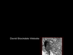 David Stockdale Website