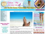 DetoxMe. co. nz BioCleanse. co. nz. Detox footbath - Agent for Bio-Cleanse Ionic Technology on the