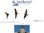 De Valkerij - Valkenier vliegt valken bij roofvogeldemonstraties