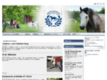 Ridskola i Stockholm - Ridlektioner Ponnyridning | Djurgårdens Ryttarklubb