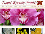 David Keanelly Orchids | Cymbidium Orchids Australia