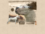 Dogo Argentino - WHITE HUNTER