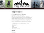 Dog Paradise | Hunddagiset där din hund står i centrum