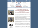 Dogs Behaving Badly Dog Training, Behaviour and Psychology Service in Ireland