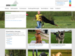 Hondenschool Dogstart Leiden | Opvoeding | Welkom