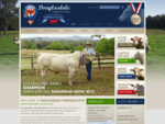 Champion Charolais Interbreed Cattle Stud - Douglasdale