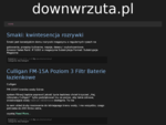 downWrzuta. pl - pobieranie z wrzuty