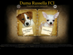 Hodowla Duma Russella Jack Russell Terrier i Chihuahua Warszawa