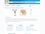 Easy-Look. fr Approche anatomique et exercices de musculation