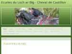 Cheval Castillonnais - Acceuil Elevage Ecuries du Loch ar Big